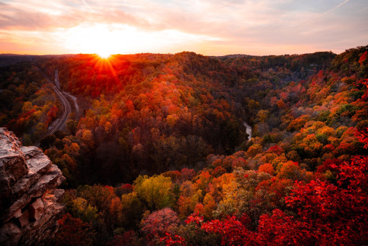 1754499 (a): :2048x1365